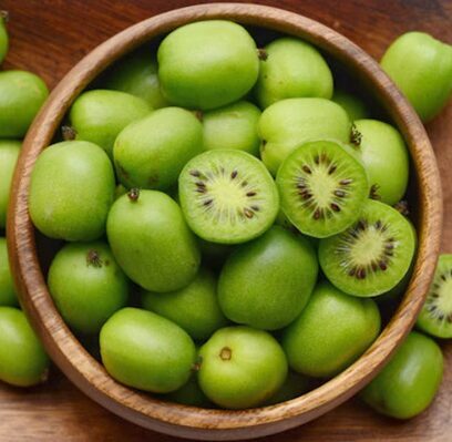 Ziemeļu kivi oga 'Issai'